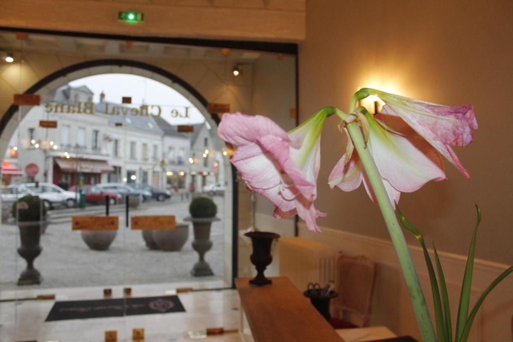 Logis Hotel Restaurant Le Cheval Blanc Blere Exterior foto